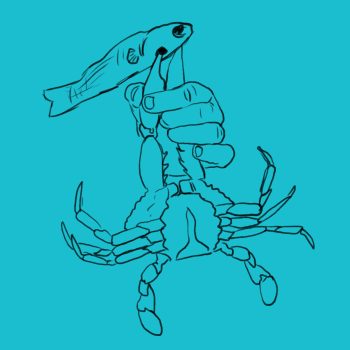 Blue Crab